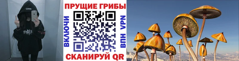 Псилоцибиновые грибы MAGIC MUSHROOMS Лахденпохья